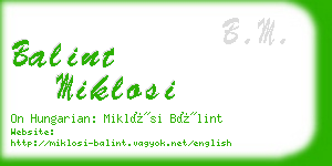 balint miklosi business card